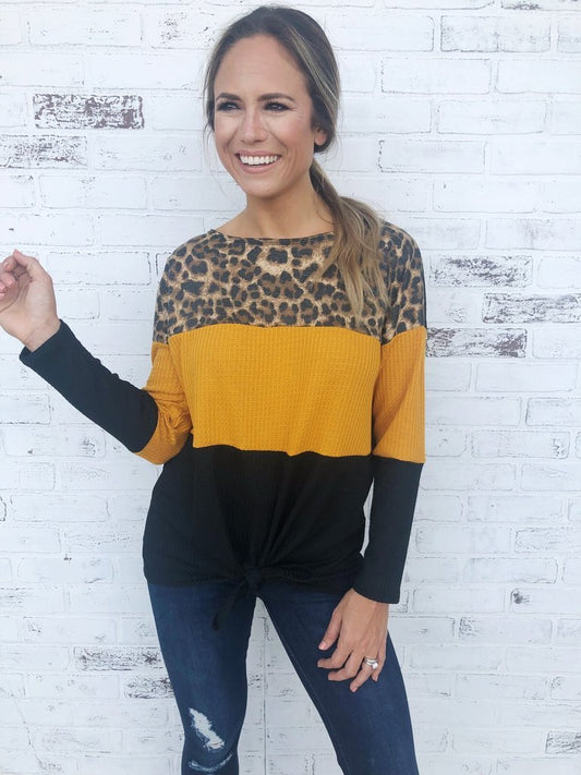 Leopard Print Casual Color Black Sweater