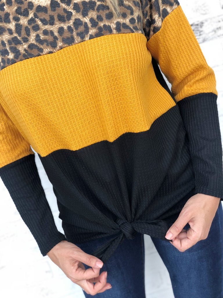 Leopard Print Casual Color Black Sweater